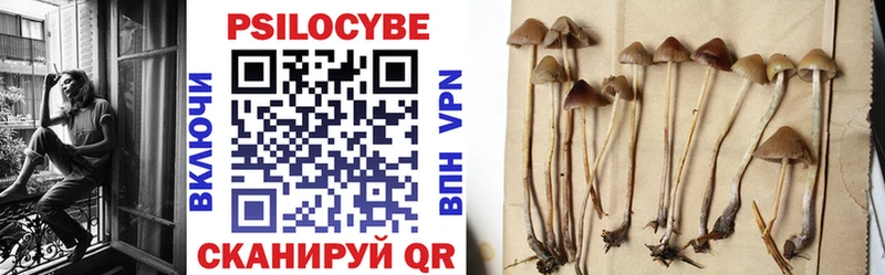 Галлюциногенные грибы Magic Shrooms  Вязьма 